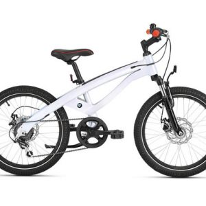 دوچرخه هزار و پونصد دلاری BMW + عکس