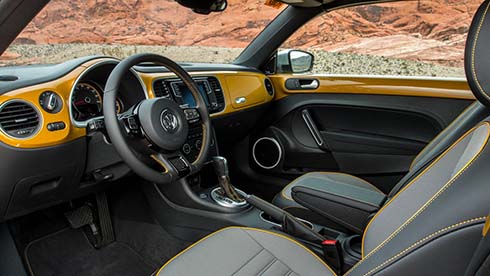 2016_beetle_dune_5754