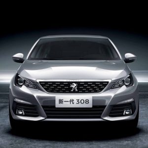 احتمال لغو محدویت سرمایه‌گذاری خودروسازان خارجی در چین!