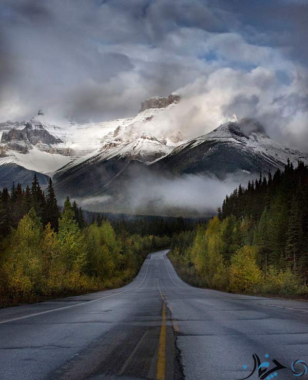 The-Road-Leading-To-The-Canadian-Rockies