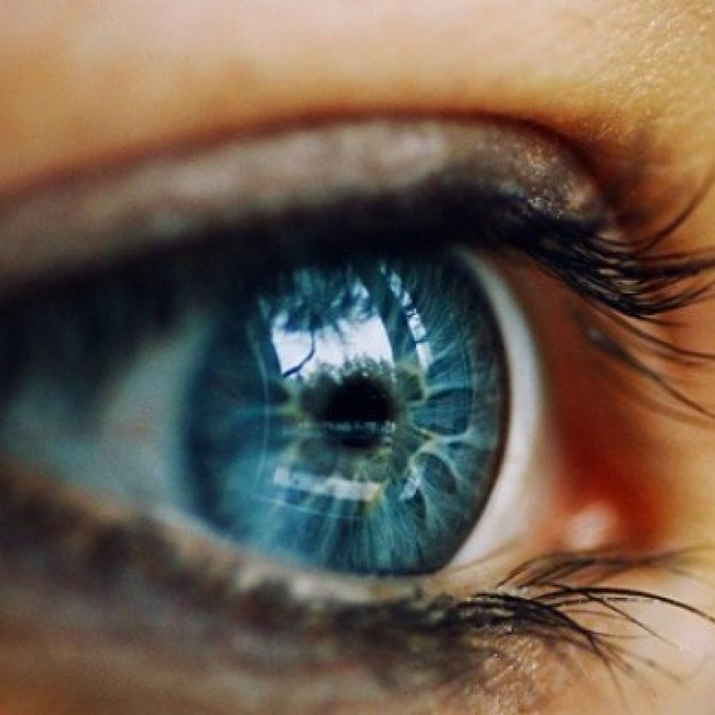 محققان و کشف حرکت جدیدی از چشم