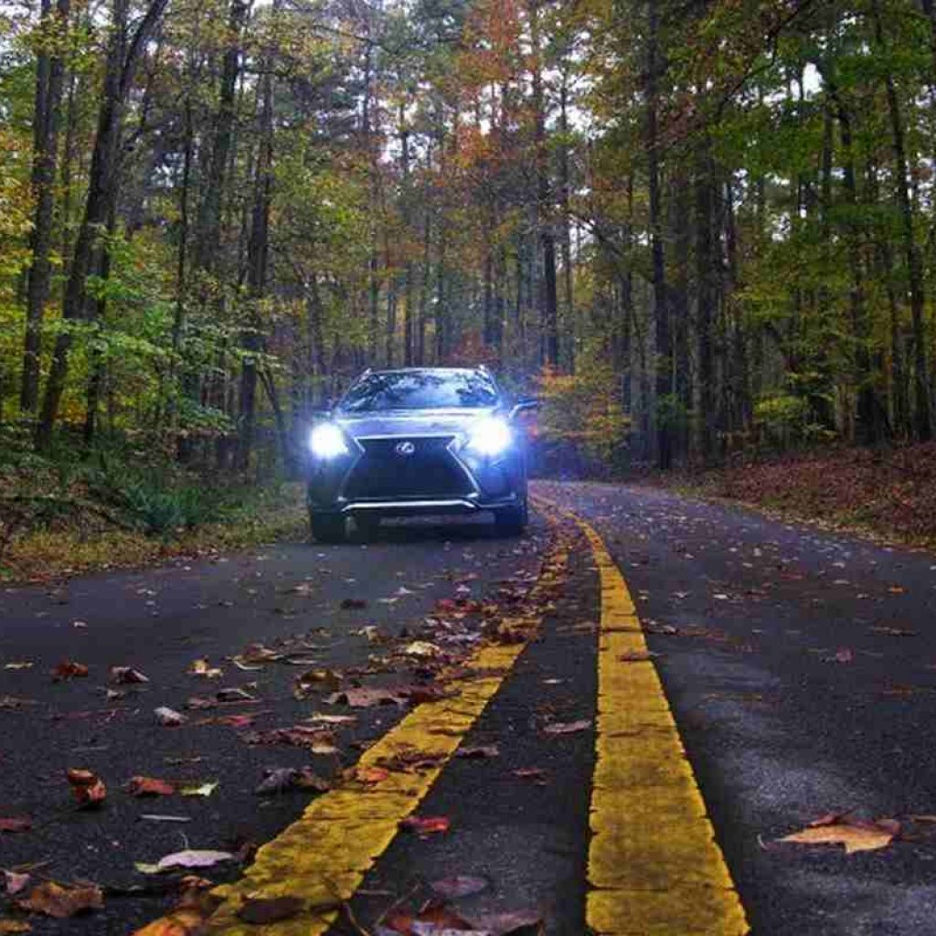 9 قانون عجیب رانندگی در کشورهای مختلف دنیا!