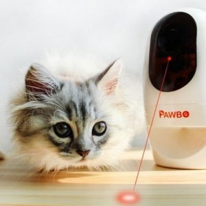 ایسر و معرفی چند گجت جدید از سری Pawbo برای کنترل حیوانات خانگی