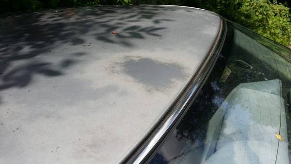 20160811_125305-768x432