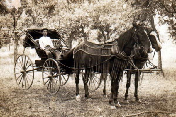 horse_and_buggy_1910-630x420