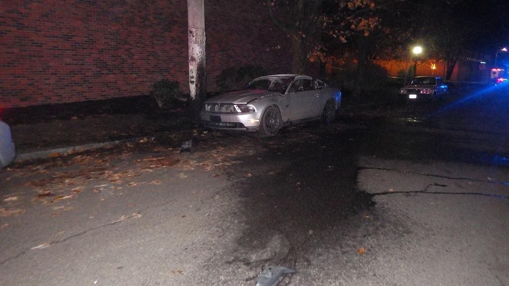 ۲۹d5ff9c-2328-43b1-80f8-1f7a05c00534-mustang3