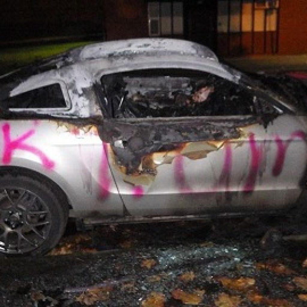 زور مخالفان ترامپ به فورد موستانگ نقره‌ای رسید!