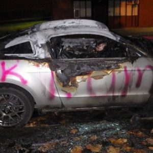 زور مخالفان ترامپ به فورد موستانگ نقره‌ای رسید!