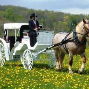 مشهورترین خودروهای منتخب برای عروسی!