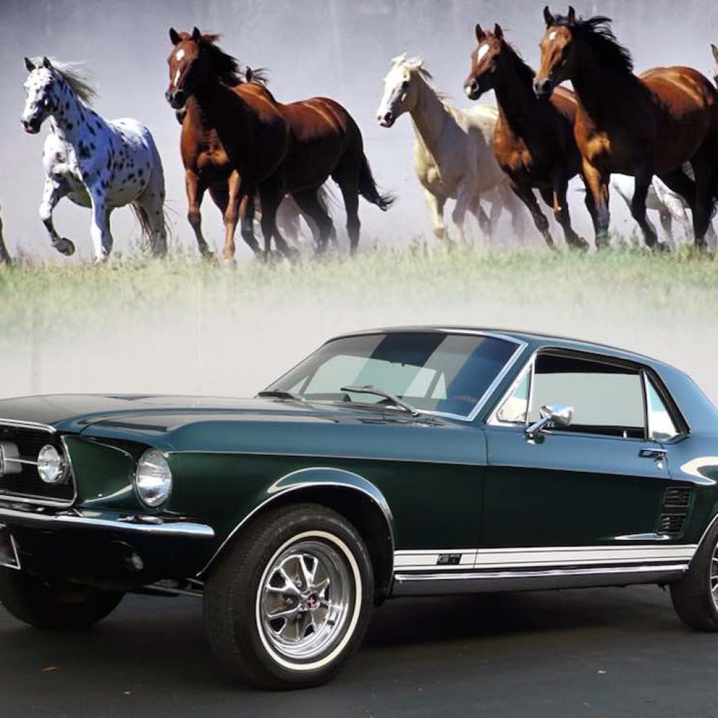 نگاهی به اسامی خودروهای الهام گرفته شده از نام حیوانات!