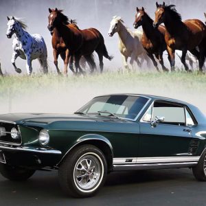 نگاهی به اسامی خودروهای الهام گرفته شده از نام حیوانات!