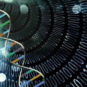 رایانه‌های مبتنی بر DNA چگونه کار خواهند کرد؟