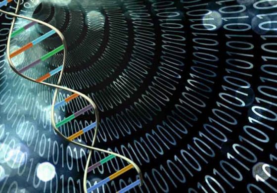 رایانههای مبتنی بر DNA چگونه کار خواهند کرد؟ رایانههای مبتنی بر DNA چگونه کار خواهند کرد؟