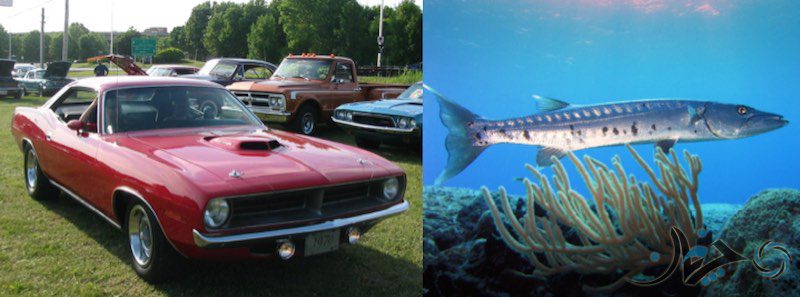 Barracuda (Plymouth)