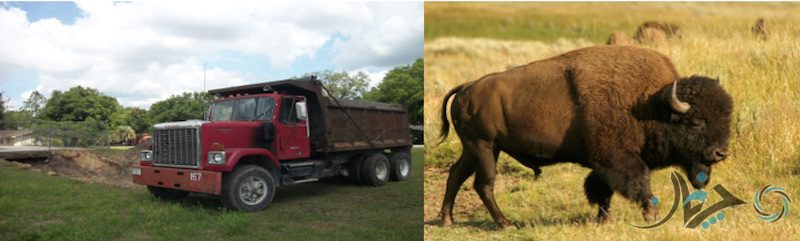 Bison (Chevrolet heavy-duty truck)
