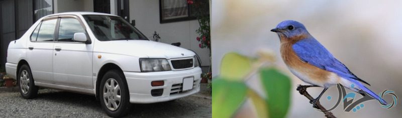 Bluebird (Nissan:Datsun)