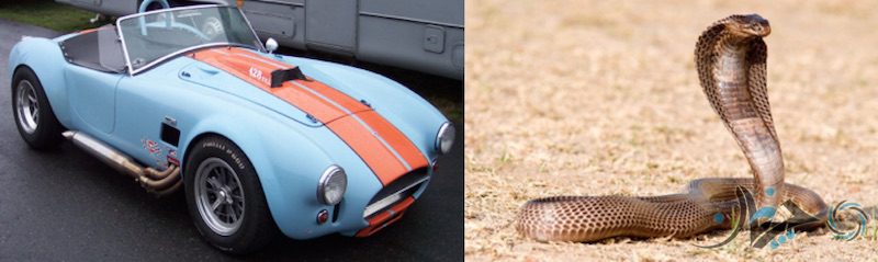 Cobra (Shelby, Shelby-Ford)