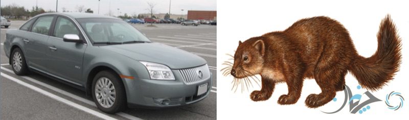 Screen Shot 2017-02-05 at 13.51.58