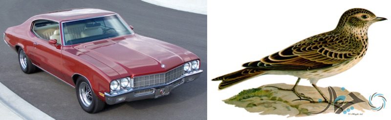 Screen Shot 2017-02-05 at 13.56.28