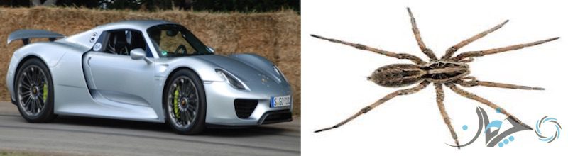 Screen Shot 2017-02-05 at 13.58.54