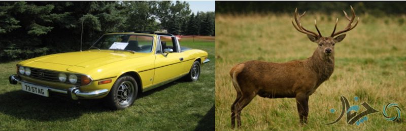 Screen Shot 2017-02-05 at 14.08.28