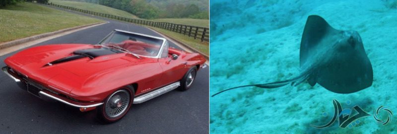 Screen Shot 2017-02-05 at 14.24.06