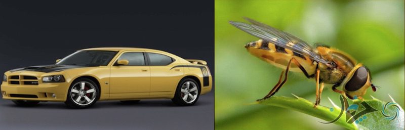 Screen Shot 2017-02-05 at 14.24.42