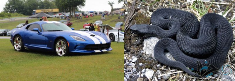 Screen Shot 2017-02-05 at 14.40.17