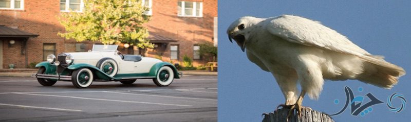 Screen Shot 2017-02-05 at 14.46.38