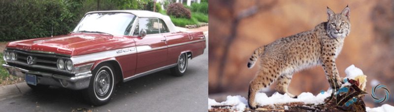 Screen Shot 2017-02-05 at 14.47.54