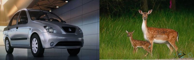 Screen Shot 2017-02-05 at 15.08.52