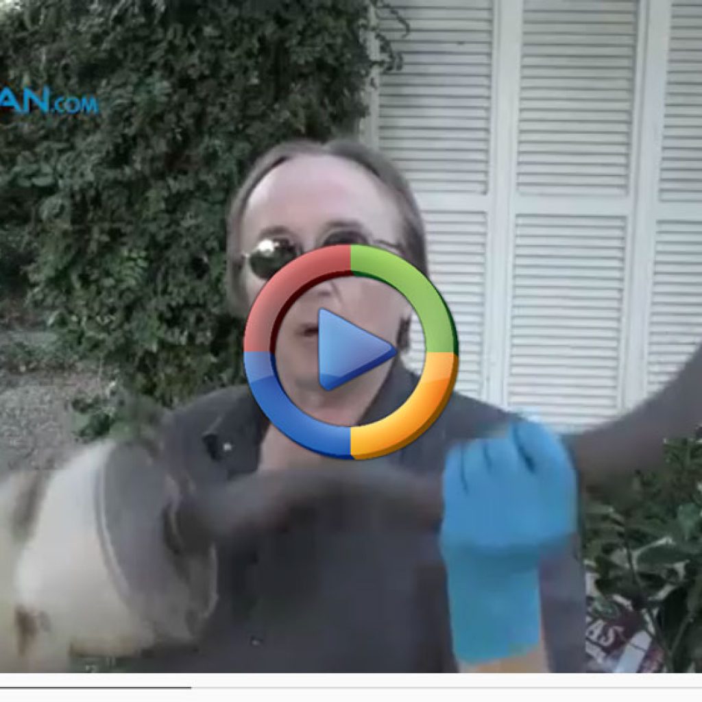 تعمیر ساده و سریع سوراخ اگزوز (فیلم اختصاصی)