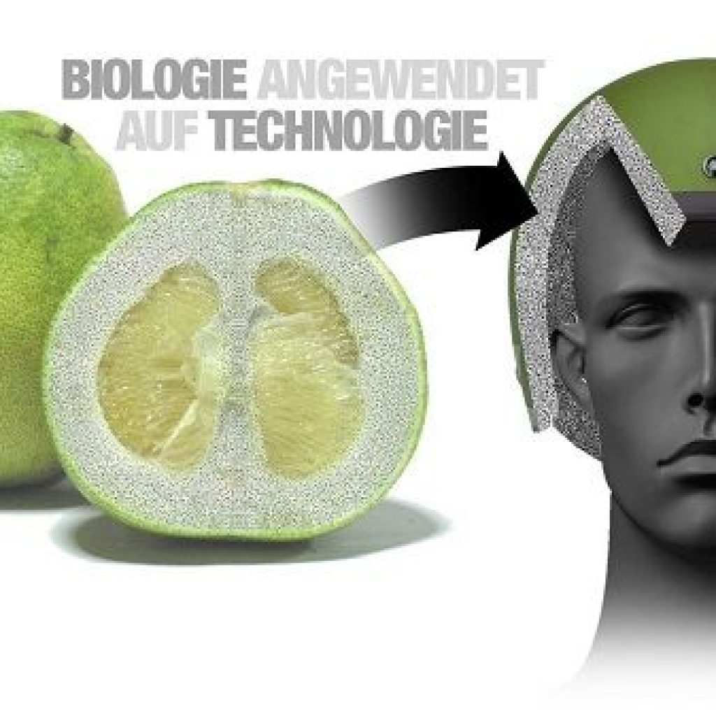 BMW از پوملو برای تولید پوشاک کارگرانش استفاده می‌کند!