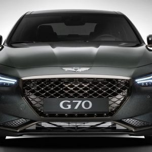این قطعه عجیب و غریب روی پنجره مشبک جلوی جنسیس G70 چیست؟