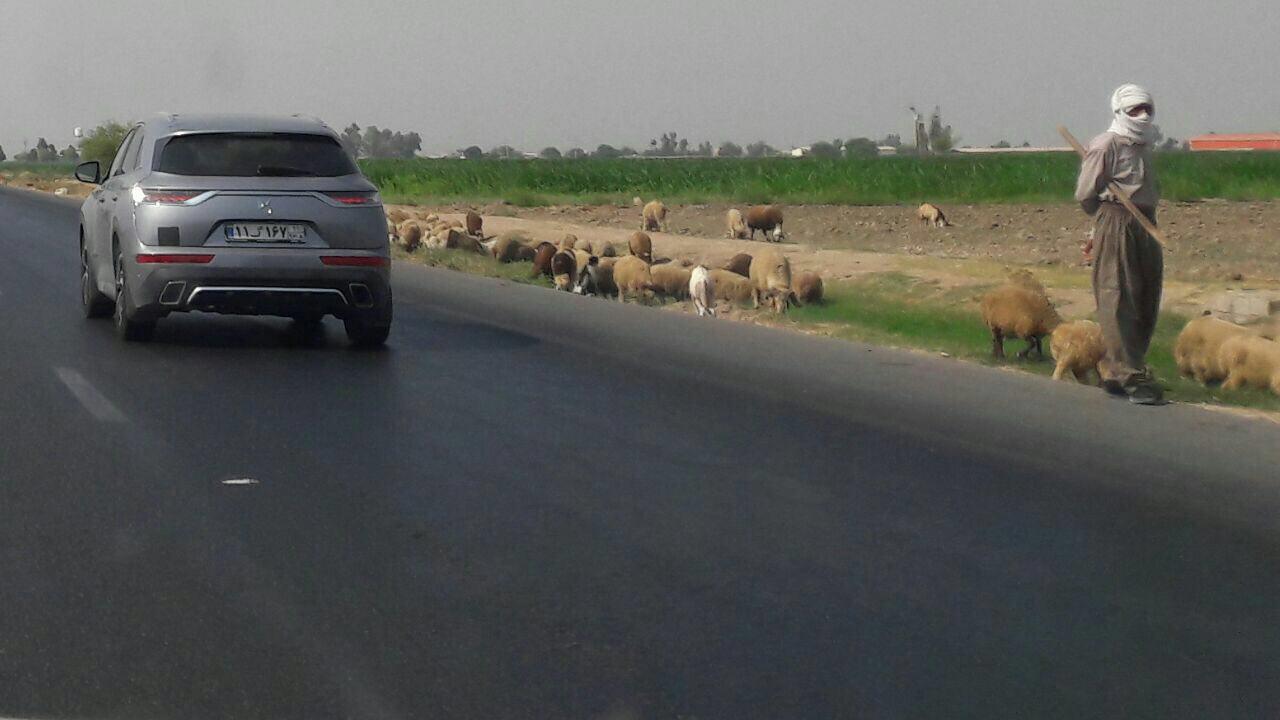 پرچمدار برند لوکس DS با نام DS7 در انتظار ورود به بازار ایران!