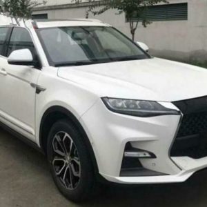 پنجره مشبک غول‌آسای خودروی Zotye Domy X7S