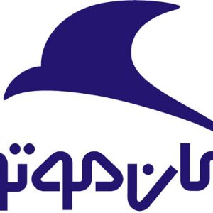 سازمان‌حمایت تخلف‌کلی کرمان‌ موتور را ردکرد/ نمایندگی متخلف‌شد!