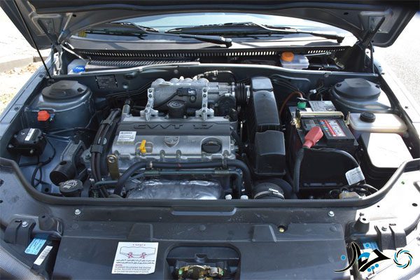 هر آنچه باید راجع به دنا بدانید را از چرخان بپرسید!