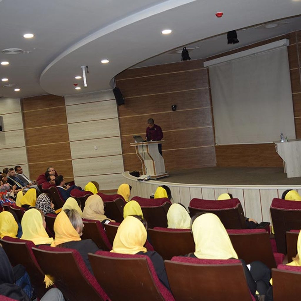 سمینار آموزشی نگین خودرو برای نمایندگان سراسر کشور برگزار شد