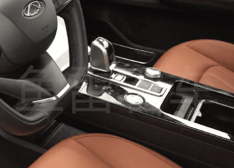 شکار چری تیگو 8 2021 درچین