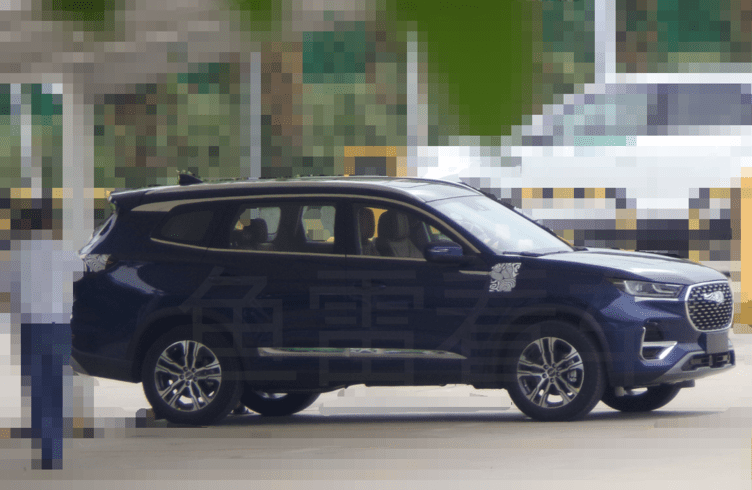 شکار چری تیگو 8 2021 درچین