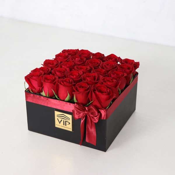 خرید گل رز باغچه؛ بهترین رز برای باغچه و نگهداری آن خرید گل رز VIP