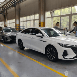 08D36896-B7EF-43FB-A74E-0C124334C7AA