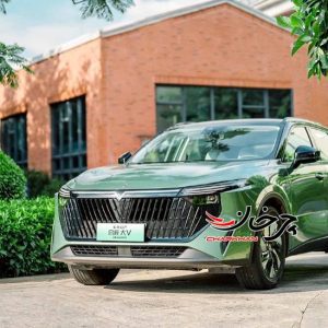 ونوسیا وی آنلاین دی دی آی پلاگین هیبرید - VENUCIA V-Online DD-i