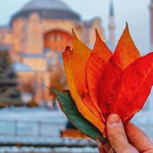 رزرو هتل در مشهد روزهای خلوت پاییز