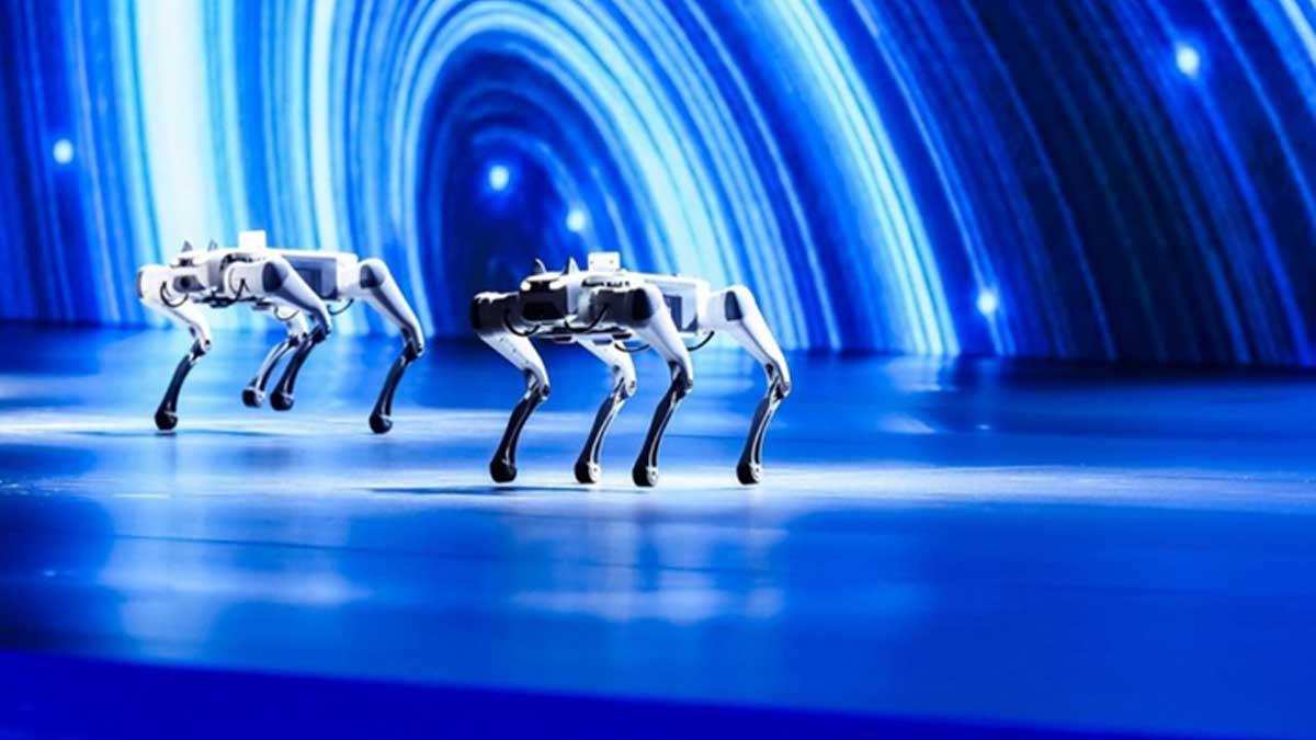 کنفرانس نوآوری جهانی چری در سال 2024 برگزار شد