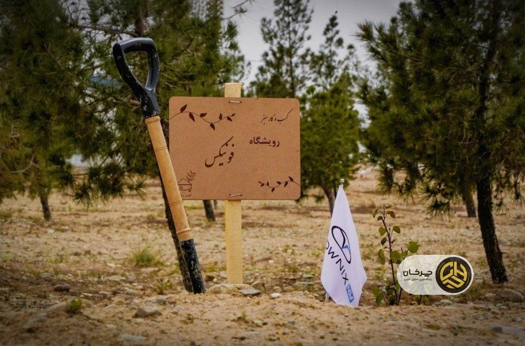 جایی که هر نهال، داستانی برای آینده‌ای سبز است رویشگاه فونیکس با مشارکت مردم احداث شد