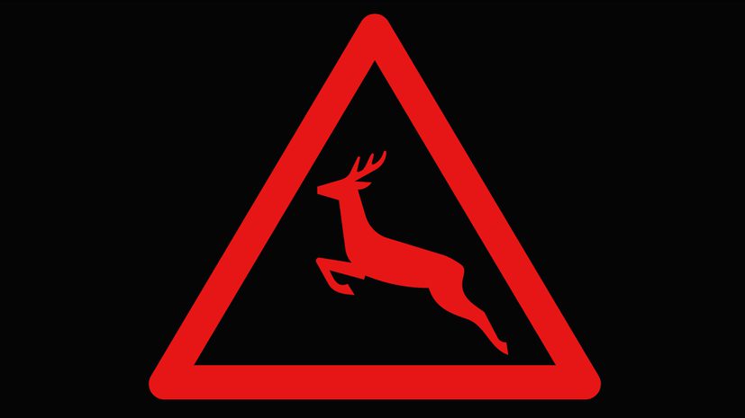 هشدار دید در شب (تشخیص حیوانات)