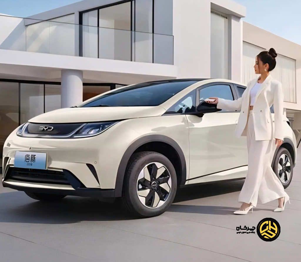 بی‌وای‌دی دلفین