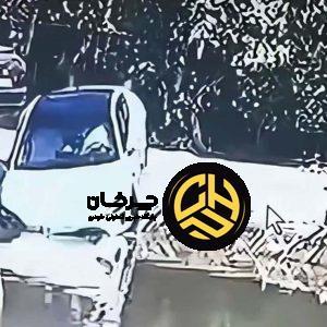 پارک خودکار شیائومی SU7، خودرو قبل از افتادن در آب متوقف شد